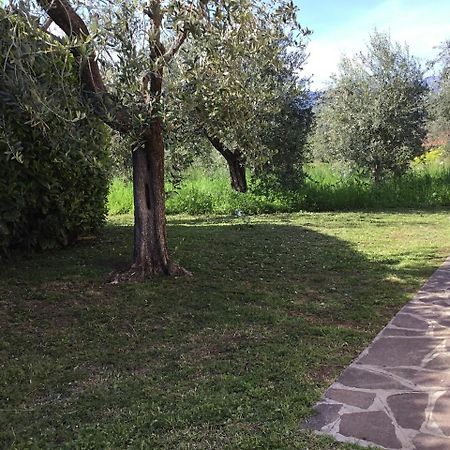 Bio Forester Manerba del Garda Dış mekan fotoğraf