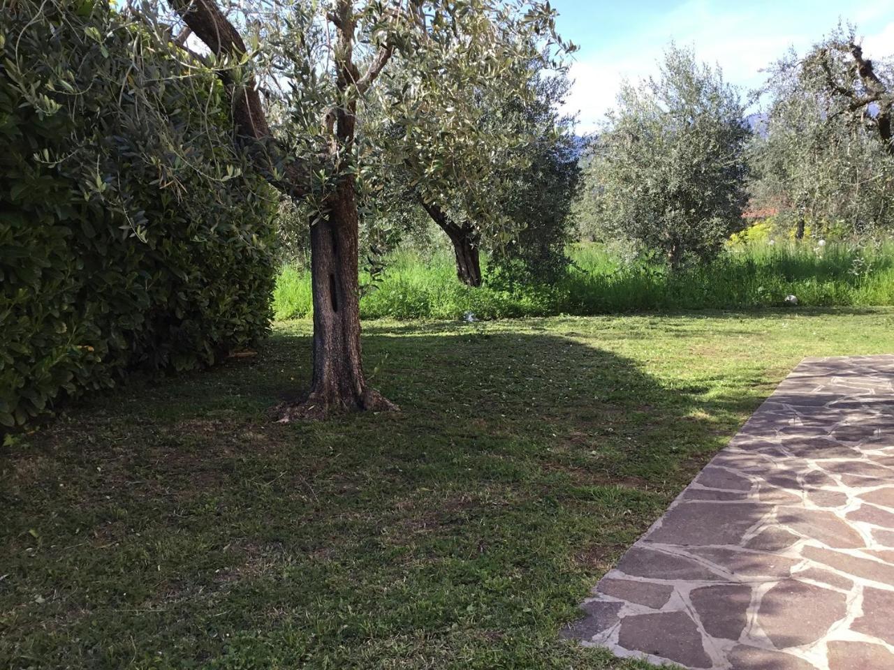 Bio Forester Manerba del Garda Dış mekan fotoğraf