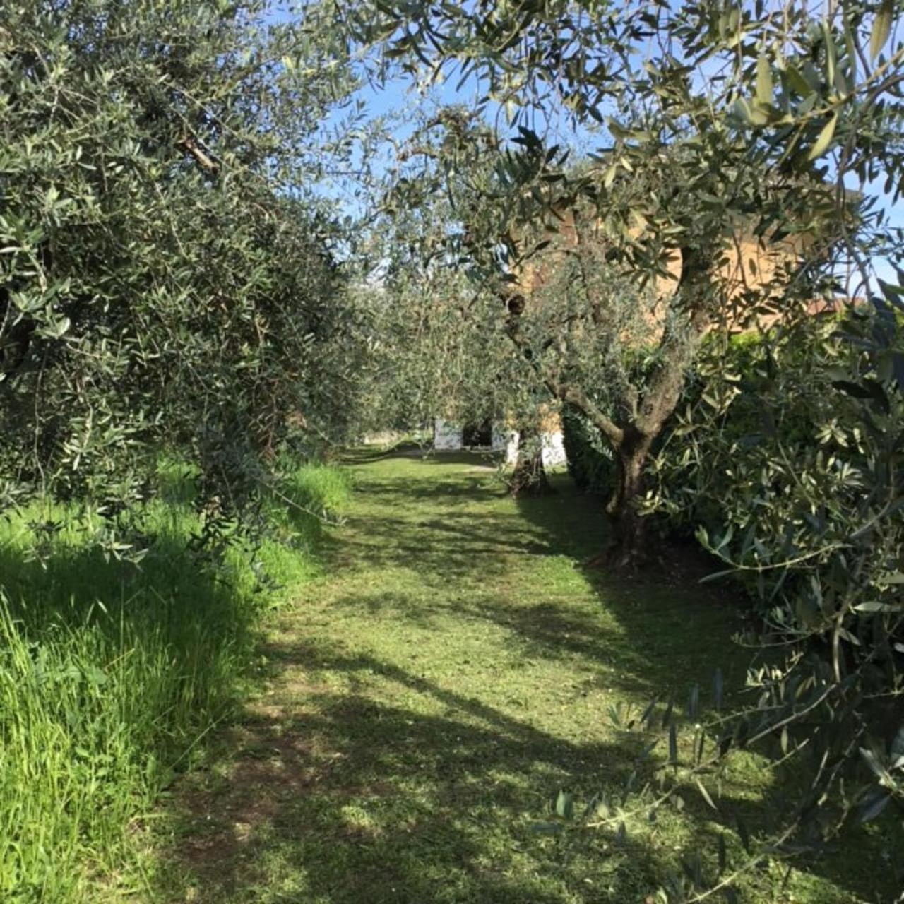 Bio Forester Manerba del Garda Dış mekan fotoğraf